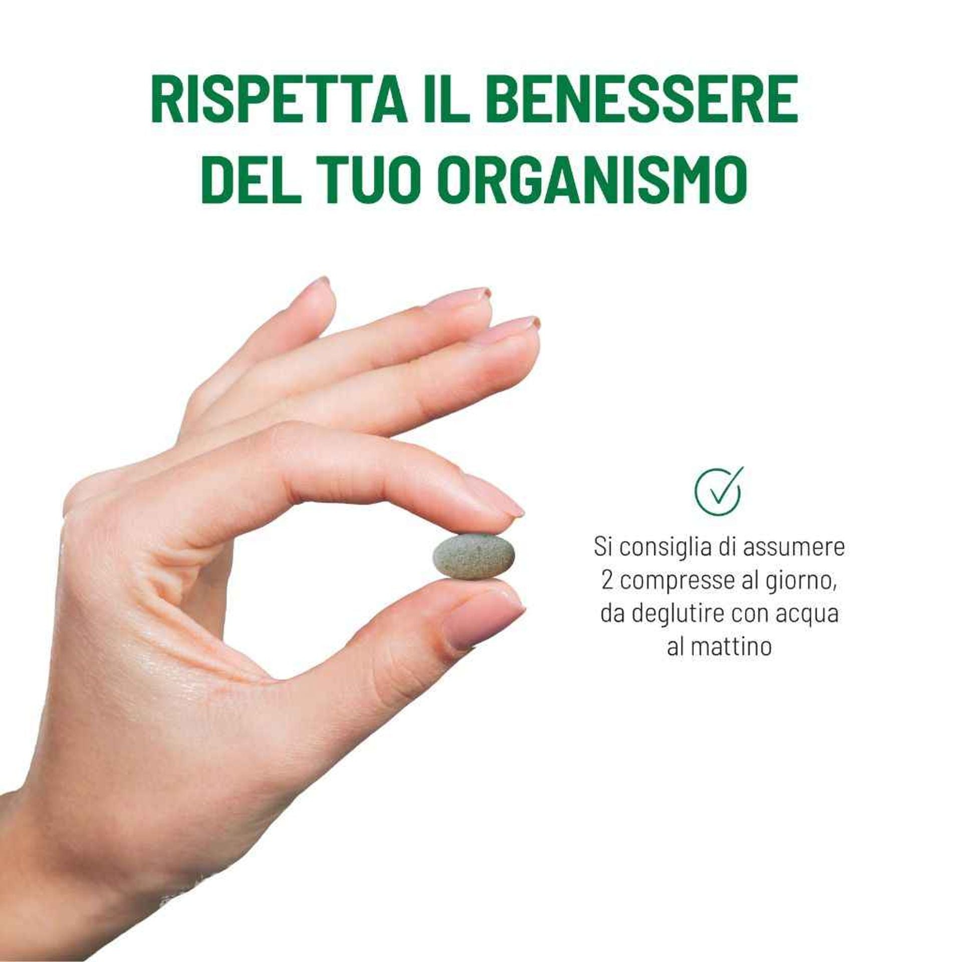 Moringa Protein 120 compresse