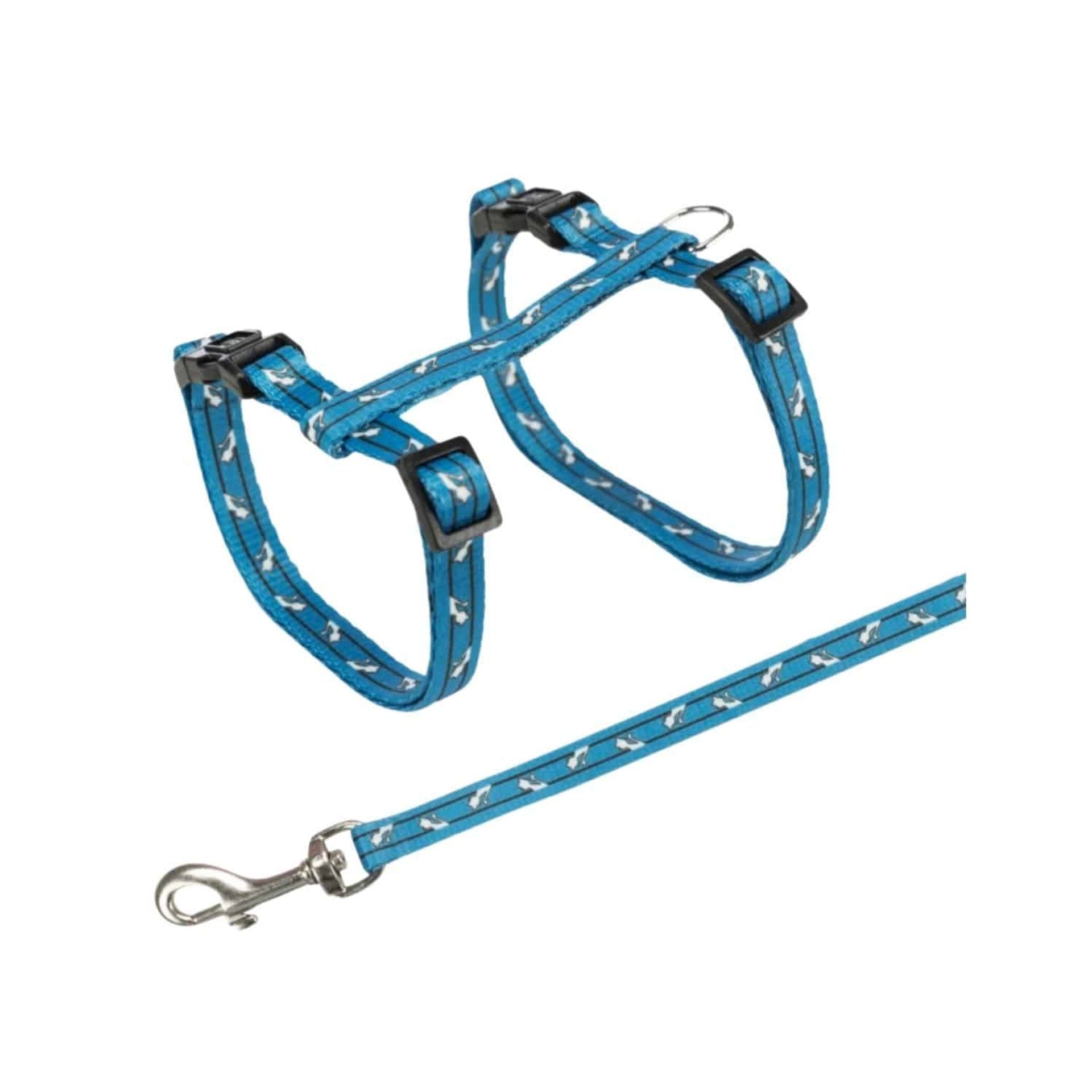 Pettorina con guinzaglio blu