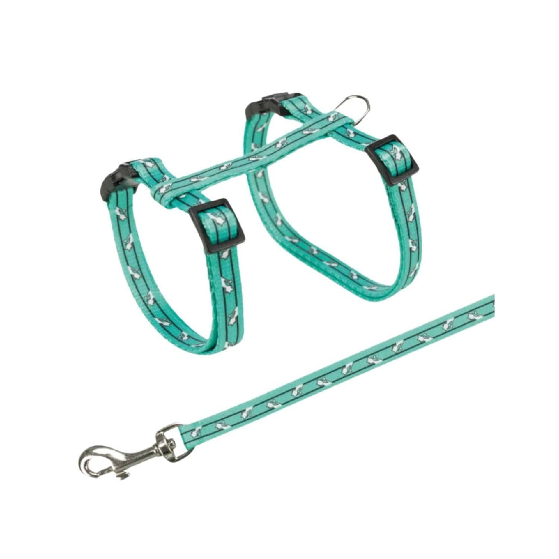 Pettorina con guinzaglio verde