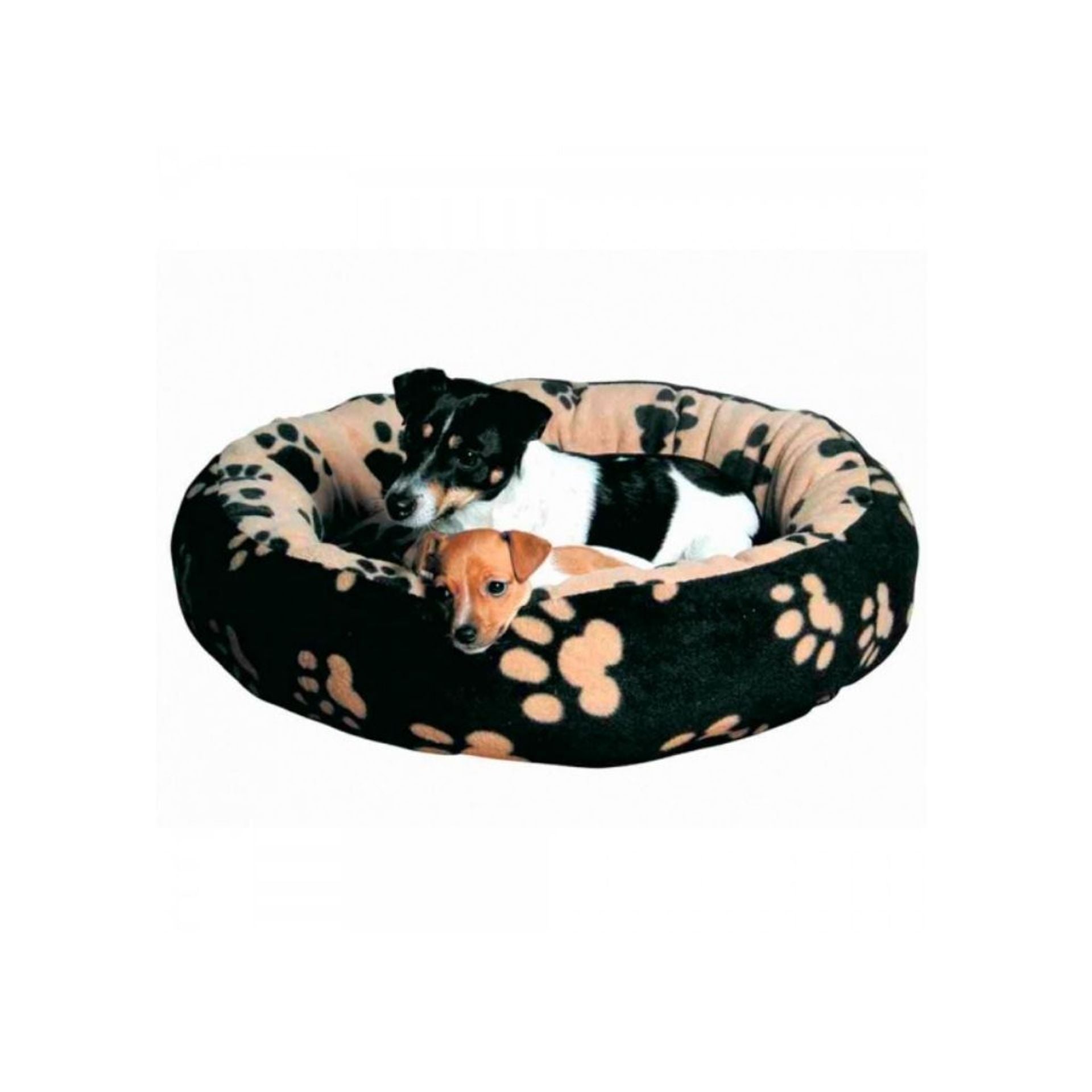 Cuccia Sammy