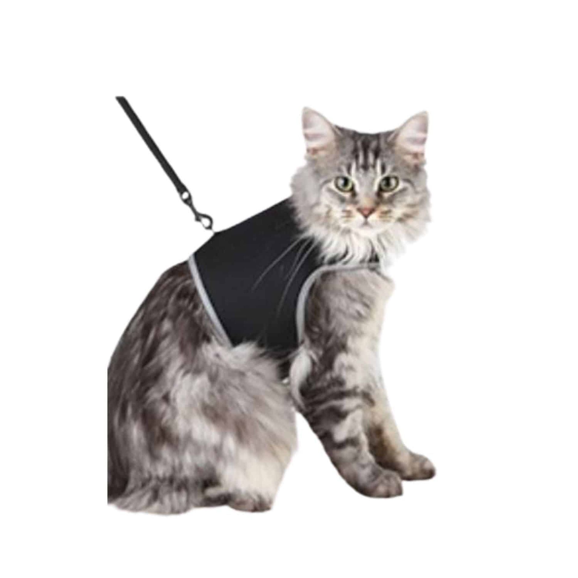 Pettorina morbida guinzaglio nera