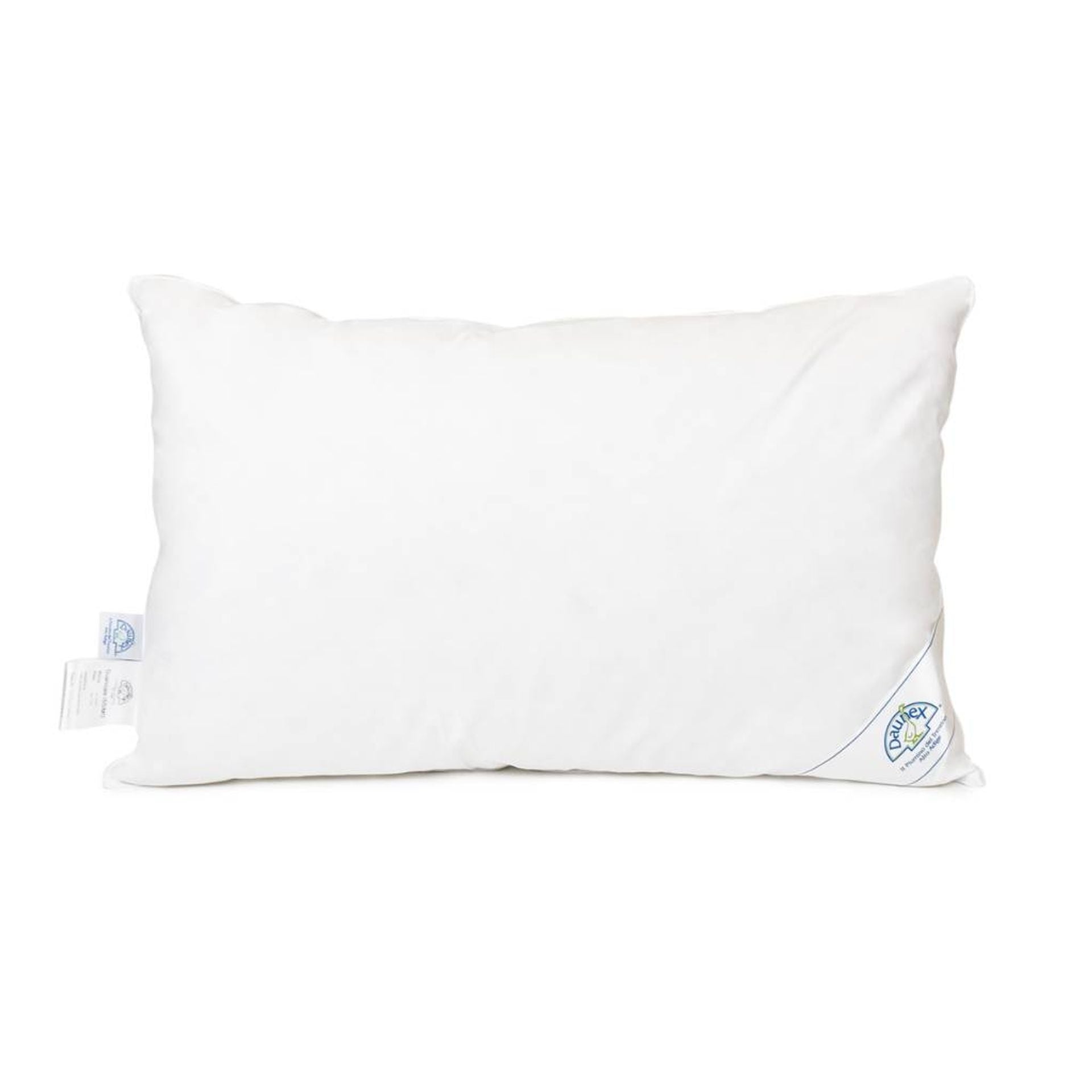 Guanciale in piuma Issimo