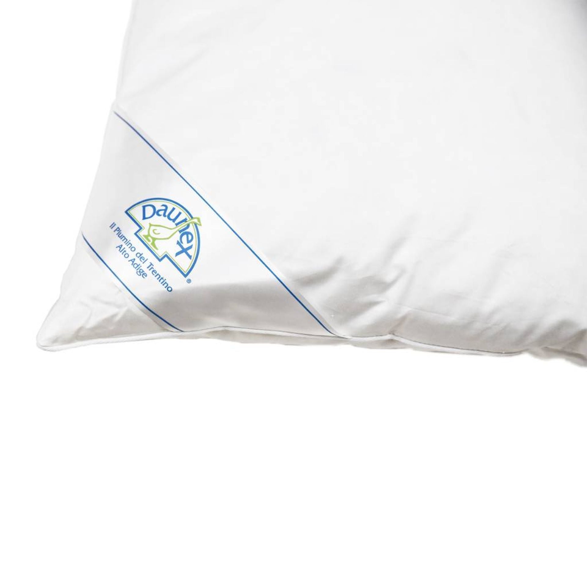 Guanciale in piuma Issimo