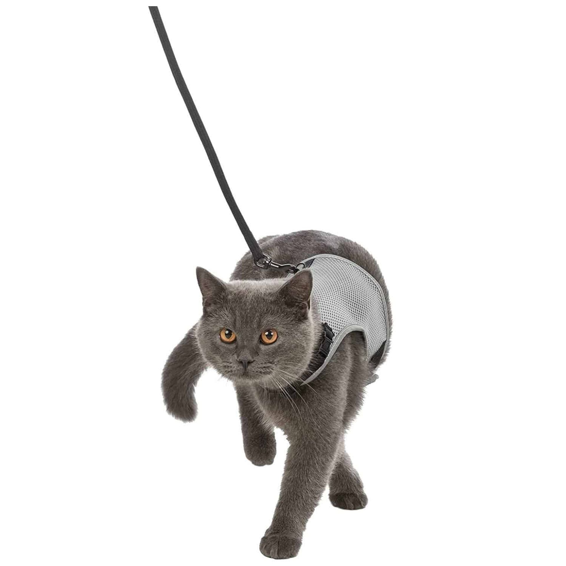 Pettorina morbida guinzaglio grigia