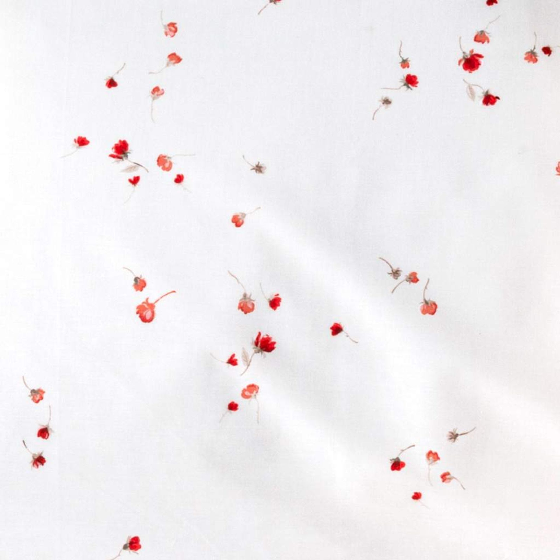 Completo letto matrimoniale 100% puro percalle