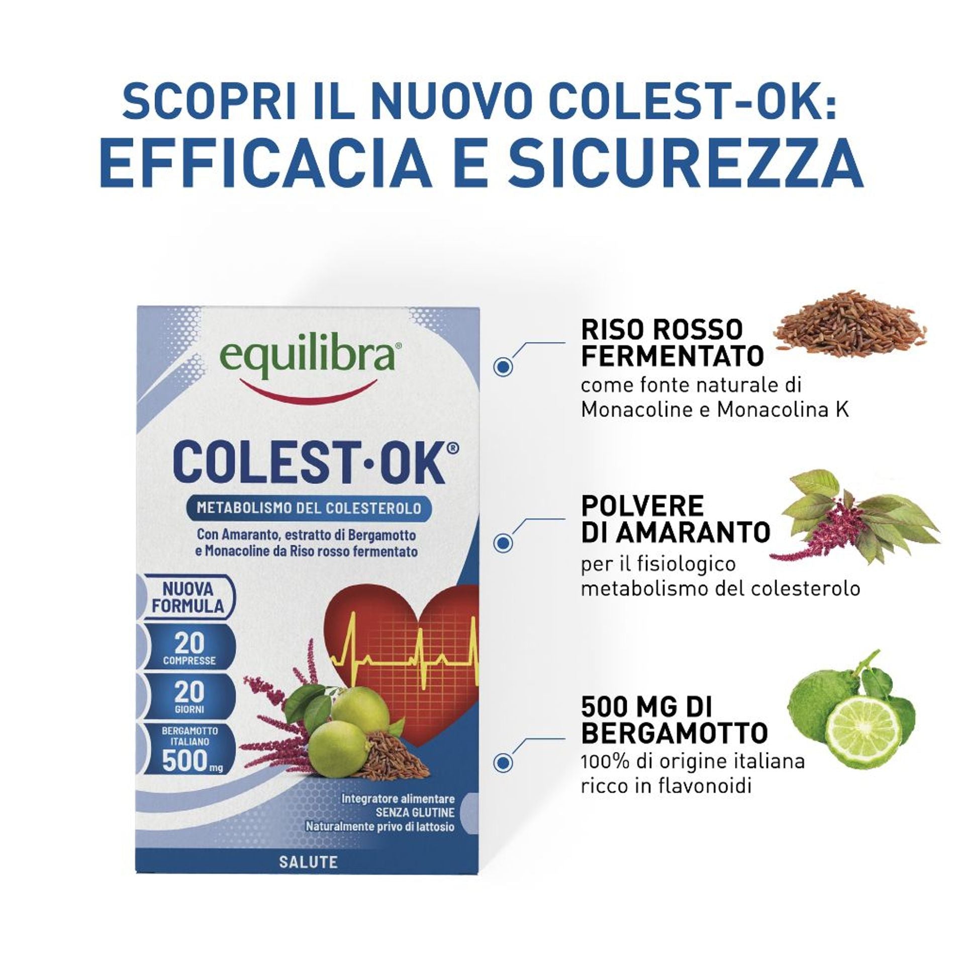 Colesterolo Ok 20 compresse