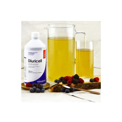 Diuricell 1000 ml Ananas