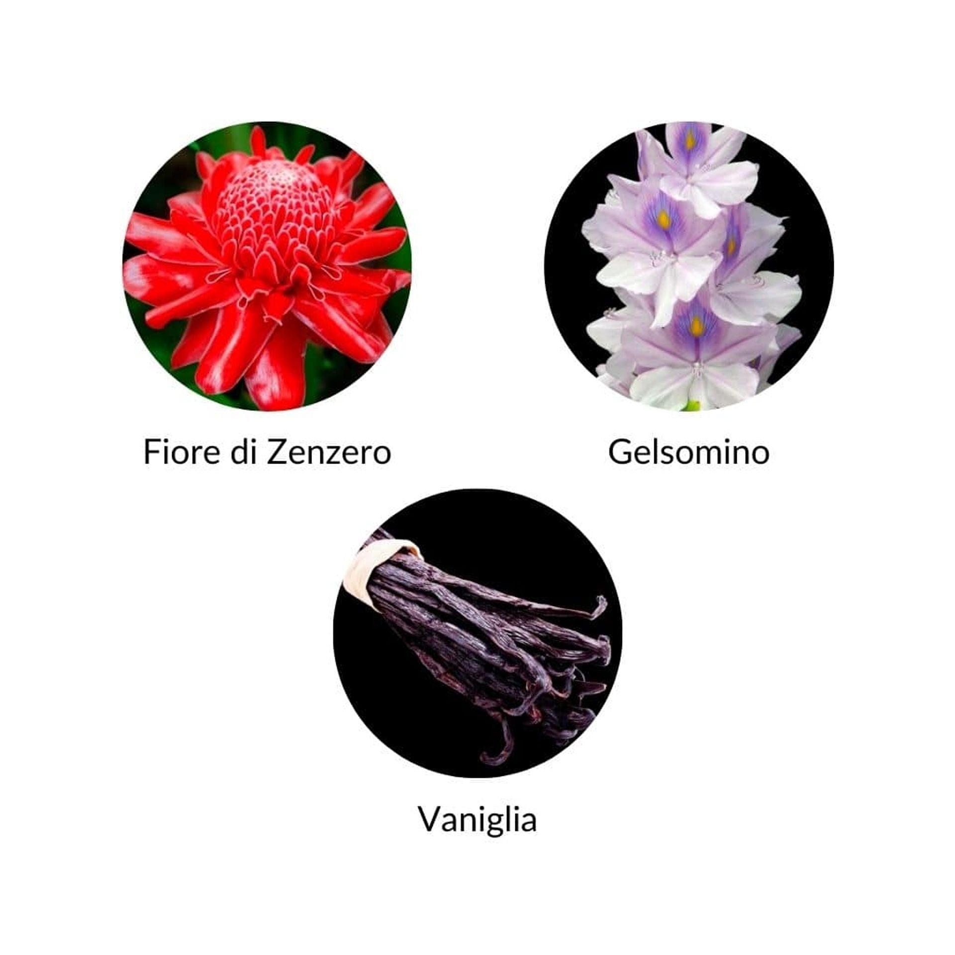 Eau de Parfum Temis 100 ml